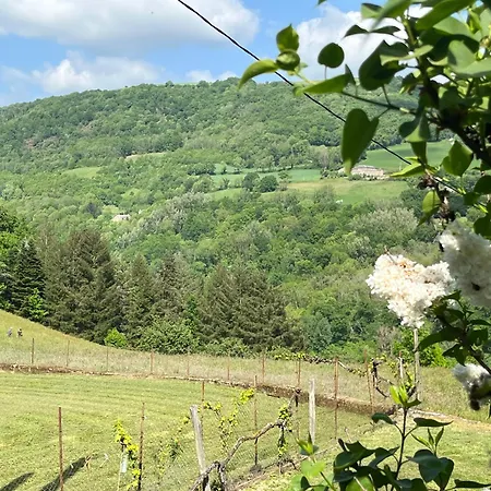 Le Caux *